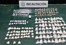 Canes de Gendarmería logran significativa incautación de drogas en cárcel de Valparaíso