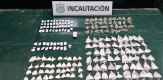 Canes de Gendarmería logran significativa incautación de drogas en cárcel de Valparaíso