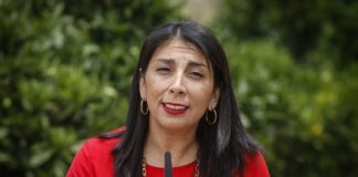 VOCERA DE GOBIERNO Y RECELO POR HACER EL PLEBISCITO EN ABRIL: “VA SÍ O SÍ”