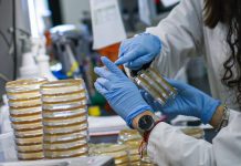 SERVICIO DE SALUD VALPARAÍSO-SAN ANTONIO AUMENTA AL DOBLE LA TOMA DE EXÁMENES PCR POR CORONAVIRUS