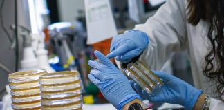 AJUSTE METODOLÓGICO ELEVARÍA A 2.290 LAS MUERTES POR CORONAVIRUS EN CHILE