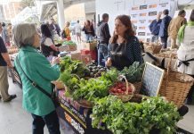 Mercado Campesino de INDAP llega con todo el sabor del campo al corazón de Viña del Mar
