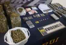 PDI DETUVO A SUJETOS QUE ABASTECÍAN A MICROTRAFICANTES DE ZAPALLAR Y PAPUDO