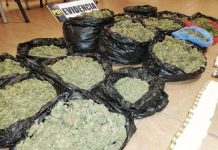 Operativo PDI: con droga y armamento fue detenida organización criminal en Colliguay