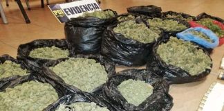 Operativo PDI: con droga y armamento fue detenida organización criminal en Colliguay