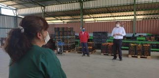 Subsecretario de Agricultura entrega protocolos preventivos a trabajadores de packing en Limache