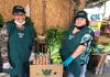 DELIVERY EN PANQUEHUE: AGRICULTORES REPARTEN FRUTAS Y VERDURAS A DOMICILIO POR COVID-19