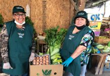 DELIVERY EN PANQUEHUE: AGRICULTORES REPARTEN FRUTAS Y VERDURAS A DOMICILIO POR COVID-19
