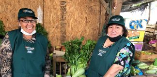 DELIVERY EN PANQUEHUE: AGRICULTORES REPARTEN FRUTAS Y VERDURAS A DOMICILIO POR COVID-19