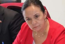 Senadora Aravena pide flexibilidad para que Pymes en Dicom accedan al Plan COVID-19