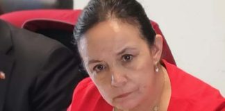 Senadora Aravena pide flexibilidad para que Pymes en Dicom accedan al Plan COVID-19