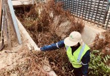 Conaf inició labores de limpieza y despeje de cauces en Villa Alemana