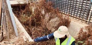 Conaf inició labores de limpieza y despeje de cauces en Villa Alemana