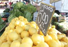 MINAGRI anunció apertura de todos los cítricos de Chile al mercado chino después de 20 años de espera