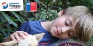 Gobierno lanza campaña para prevenir el abandono de mascotas por Covid-19