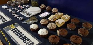 PDI DETUVO A SUJETO QUE VENDÍA ALIMENTOS EN BASE A CANNABIS