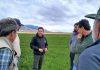 INIA La Cruz lidera investigación de alfalfa en La Patagonia