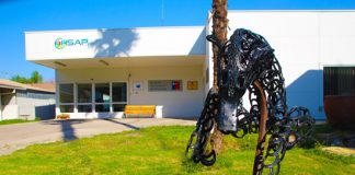 Putaendo: Hospital San Antonio informa que ya cuentan con 14 funcionarios positivos en Coronavirus.