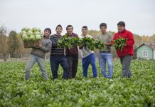 MÁS DE $1.700 MILLONES DESTINA INDAP EN APOYO A COOPERATIVAS DE LA PEQUEÑA AGRICULTURA