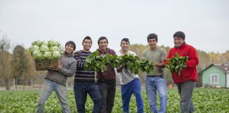MÁS DE $1.700 MILLONES DESTINA INDAP EN APOYO A COOPERATIVAS DE LA PEQUEÑA AGRICULTURA
