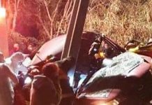 Dos jóvenes fallecidos y dos heridos tras chocar un automóvil contra un poste en Panquehue