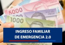 OFICIAN A MINISTRA DE DESARROLLO SOCIAL POR NUMEROSOS RECLAMOS EN EL PAGO DEL IFE