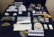 PDI LOS ANDES DESBARATA BANDA CRIMINAL DEDICADA AL MICROTRÁFICO