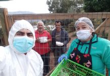 El fuerte impacto de la solidaridad entre los vecinos de Til Til