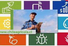 “Agricultura sustentable”, “Control de plagas y enfermedades” y “Agua” son los temas de mayor interés para la pequeña agricultura