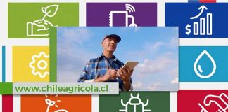 “Agricultura sustentable”, “Control de plagas y enfermedades” y “Agua” son los temas de mayor interés para la pequeña agricultura