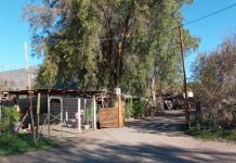 Rinconada: Sector de Quebrada Seca busca la independencia para sus treinta socios