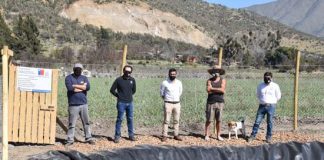 Avanzan proyectos apoyados por el municipio para asegurar riego a pequeños agricultores de Llay Llay