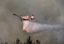 Corma alerta promedio de 12 incendios diarios y llama a la prevención