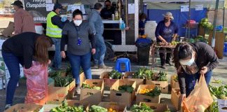 Los Andes: Feriantes entregan hortalizas a usuarios del Programa de Acompañamiento Psicosocial de Cesfam Centenario