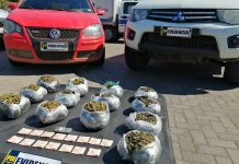 PDI INCAUTA CERCA DE 15 MIL DOSIS DE CANNABIS SATIVA EN CONTROL CARRETERO