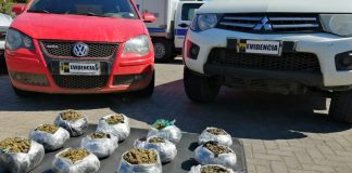 PDI INCAUTA CERCA DE 15 MIL DOSIS DE CANNABIS SATIVA EN CONTROL CARRETERO