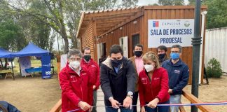 MODERNA PLANTA DE PROCESOS POTENCIARÁ DESARROLLO DE 50 FAMILIAS CAMPESINAS EN CATAPILCO