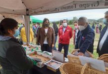 Agricultoras de Limache realizan conmemoración del Día Internacional de la Mujer Rural