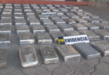 PDI LOS ANDES INCAUTA MILLONARIO CARGAMENTO DE CANNABIS SATIVA EN OPERATIVO ANTIDROGAS