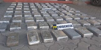 PDI LOS ANDES INCAUTA 145 KILOS DE DROGA EN OPERACIÓN “SAN PEDRO”