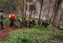 CONAF capacita a 678 efectivos del Ejército y la Armada en el combate de incendios forestales