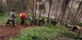 CONAF capacita a 678 efectivos del Ejército y la Armada en el combate de incendios forestales