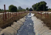 Agricultores chilenos pueden capacitarse para atender la creciente demanda de alimentos