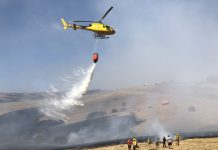 CONAF capacita en prevención de incendios forestales a profesores de la Región de Valparaíso