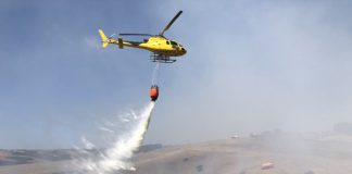 CONAF capacita en prevención de incendios forestales a profesores de la Región de Valparaíso