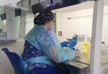 Laboratorio de Biología Molecular de SaludQuillota ha procesado casi 3 mil muestras en su primer mes de funcionamiento
