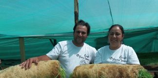 Emprendedores agropecuarios se capacitan para producir forraje verde con un mínimo de agua