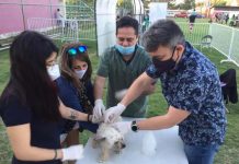 Calle Larga: Ciento cincuenta mascotas fueron atendidas en masivo operativo veterinario realizado en el Estadio Municipal