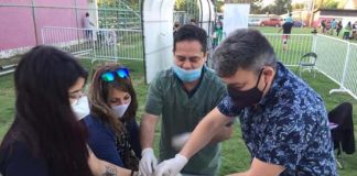 Calle Larga: Ciento cincuenta mascotas fueron atendidas en masivo operativo veterinario realizado en el Estadio Municipal