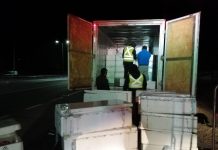 4,6 toneladas de pesca ilegal fue el resultado de dos operativos de fiscalización en la región de Valparaíso